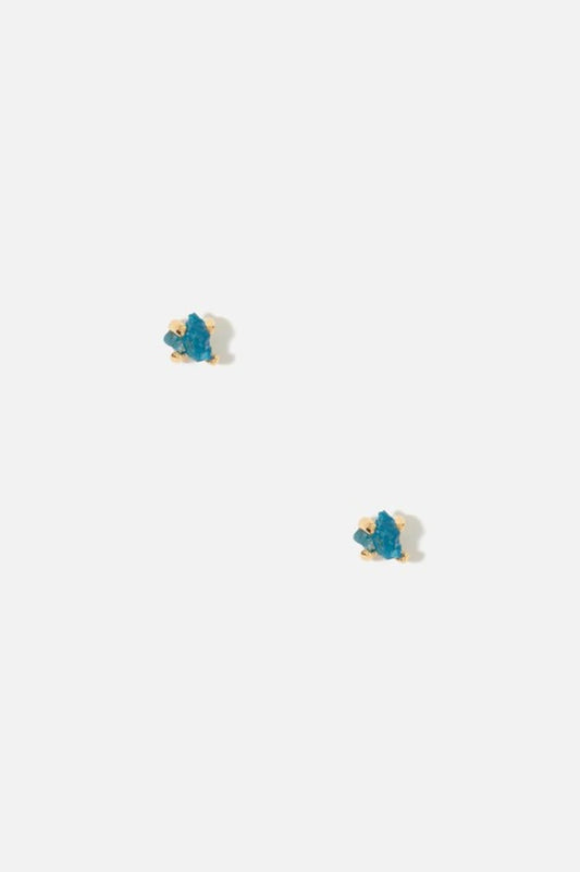 APA EARRINGS